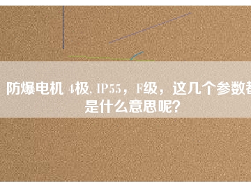 防爆電機(jī) 4極, IP55，F(xiàn)級(jí)，這幾個(gè)參數(shù)都是什么意思呢？