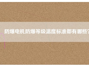 防爆電機(jī)防爆等級溫度標(biāo)準(zhǔn)都有哪些？