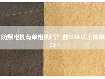 防爆電機(jī)有單相的嗎？要750W以上的單相220V