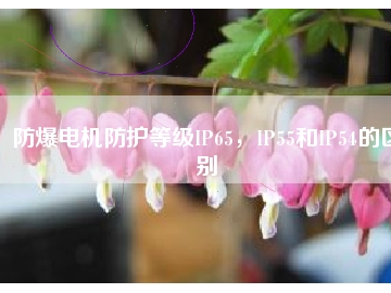 防爆電機(jī)防護(hù)等級IP65，IP55和IP54的區(qū)別