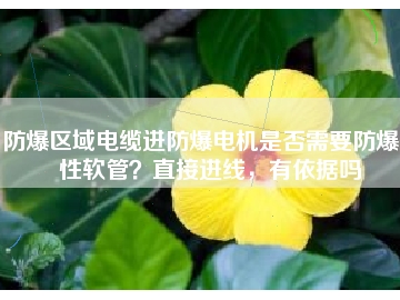 防爆區(qū)域電纜進(jìn)防爆電機(jī)是否需要防爆撓性軟管？直接進(jìn)線，有依據(jù)嗎