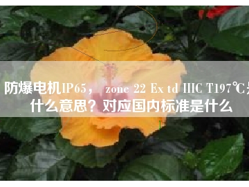 防爆電機(jī)IP65， zone 22 Ex td IIIC T197℃是什么意思？對應(yīng)國內(nèi)標(biāo)準(zhǔn)是什么