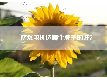 防爆電機(jī)選哪個(gè)牌子的好？
