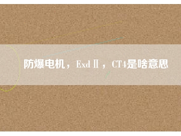 防爆電機(jī)，ExdⅡ，CT4是啥意思