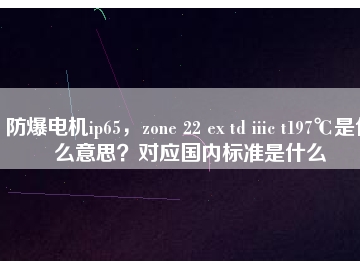 防爆電機(jī)ip65，zone 22 ex td iiic t197℃是什么意思？對應(yīng)國內(nèi)標(biāo)準(zhǔn)是什么
