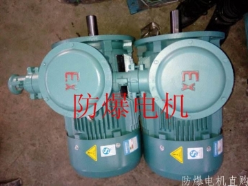 防爆電機(jī)分類：防爆電機(jī)選型、參數(shù)、定義