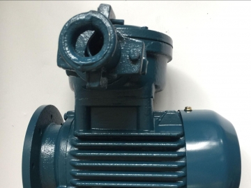 防爆電機(jī)的效率怎么樣？能耗主要在哪里損耗了？