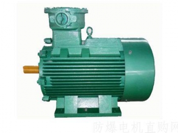 防爆電機(jī)的相間絕緣很重要，選擇時要注意