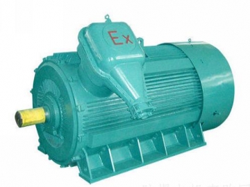 防爆電機(jī)如何出現(xiàn)掃膛、振動(dòng)、軸承過(guò)熱要怎么處理