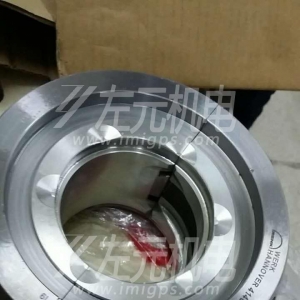EFZLB 11-110,EFZLB 9-80電機(jī)軸瓦，油封及油環(huán)應(yīng)用于化工行業(yè)電機(jī)