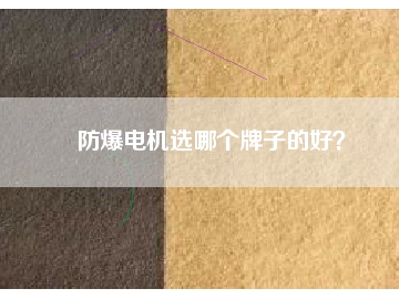 防爆電機(jī)選哪個(gè)牌子的好？
