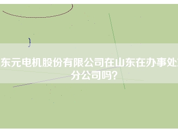 東元電機(jī)股份有限公司在山東在辦事處或分公司嗎？