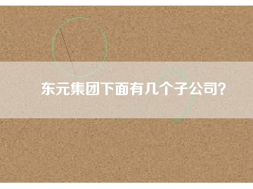 東元集團(tuán)下面有幾個子公司？