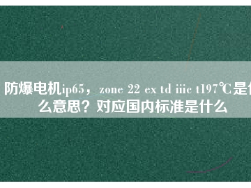 防爆電機ip65，zone 22 ex td iiic t197℃是什么意思？對應國內標準是什么
