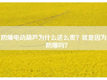 防爆電動葫蘆為什么這么貴？就是因為能防爆嗎？