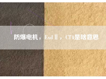 防爆電機，ExdⅡ，CT4是啥意思