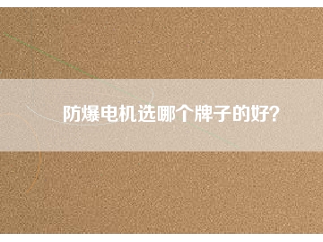 防爆電機選哪個牌子的好？