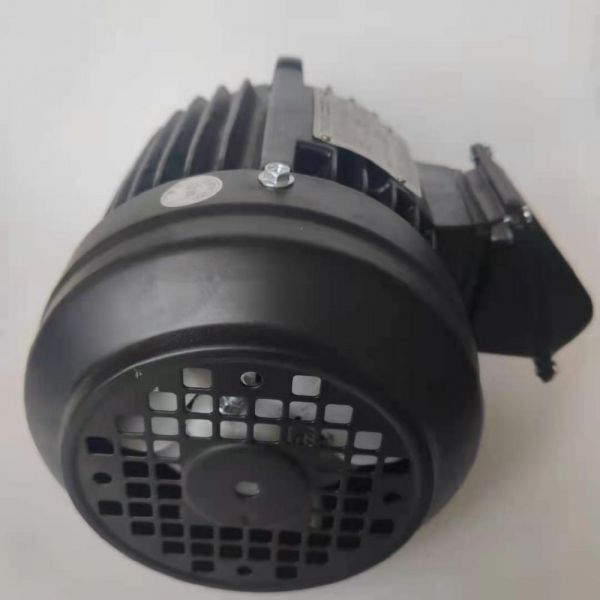 永磁電機 DVEX  400KW  3000RPM  F#315L IE4效率電機