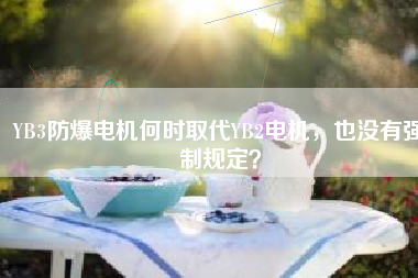 YB3防爆電機何時取代YB2電機，也沒有強制規(guī)定？