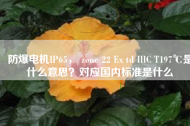 防爆電機IP65， zone 22 Ex td IIIC T197℃是什么意思？對應國內標準是什么