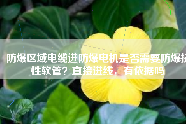 防爆區(qū)域電纜進(jìn)防爆電機(jī)是否需要防爆撓性軟管？直接進(jìn)線，有依據(jù)嗎