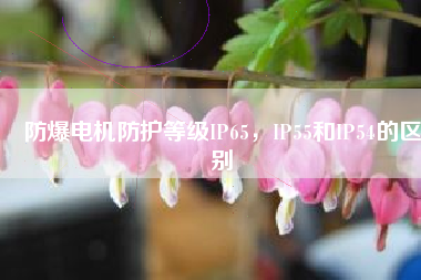 防爆電機(jī)防護(hù)等級(jí)IP65，IP55和IP54的區(qū)別