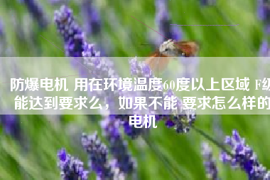 防爆電機(jī) 用在環(huán)境溫度60度以上區(qū)域 F級(jí)能達(dá)到要求么，如果不能 要求怎么樣的電機(jī)