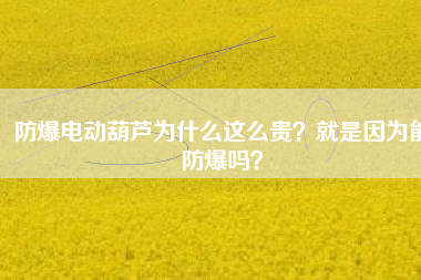 防爆電動葫蘆為什么這么貴？就是因為能防爆嗎？