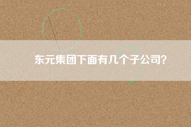 東元集團(tuán)下面有幾個(gè)子公司？