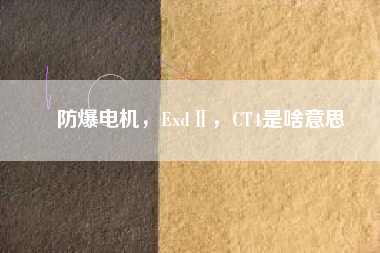 防爆電機(jī)，ExdⅡ，CT4是啥意思
