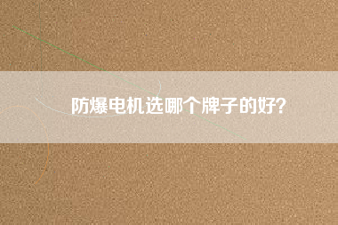 防爆電機(jī)選哪個牌子的好？