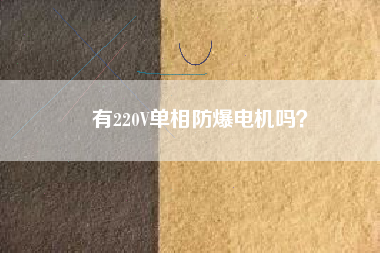 有220V單相防爆電機(jī)嗎？