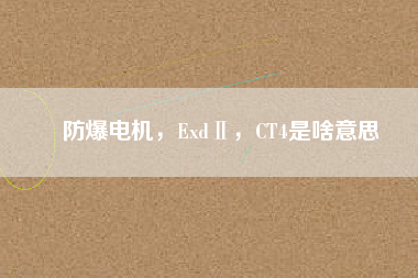 防爆電機(jī)，ExdⅡ，CT4是啥意思
